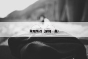 荣耀烦刃（荣耀一曲）