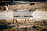 军事游戏一，军事题材游戏