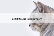pc我世界1151？ minecraft117？