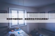 阴阳师中国阴阳术？ 阴阳师阴阳术特效在哪里换？