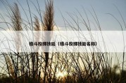格斗投掷技能（格斗投掷技能名称）