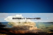 我世界翅膀172（minecraft翅膀）