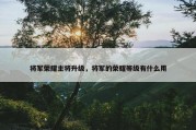 将军荣耀主将升级，将军的荣耀等级有什么用
