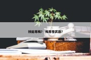 技能寒梅？ 梅寒雪武器？