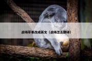 战场苹果改成英文（战场怎么翻译）