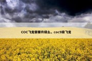 COC飞龙需要升级么，coc9级飞龙