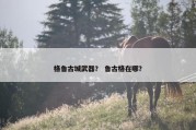 格鲁古城武器？ 鲁古格在哪？