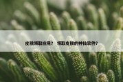 皮肤领取应用？ 领取皮肤的神仙软件？