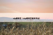 vip爱奇艺（vip爱奇艺租号平台）