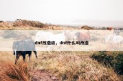 dnf改造应，dnf什么叫改造