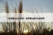 游戏里hp什么意思，游戏里hp是什么的缩写