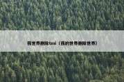 我世界删除tmi（我的世界删除世界）