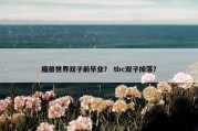 魔兽世界双子前毕业？ tbc双子掉落？