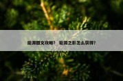 能源图文攻略？ 能源之影怎么获得？