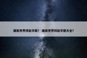 魔兽世界技能华丽？ 魔兽世界技能华丽大全？