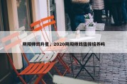 阴阳师鸩升星，2020阴阳师鸩值得培养吗