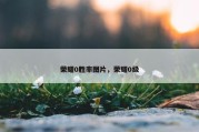 荣耀0胜率图片，荣耀0级