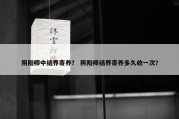阴阳师中结界寄养？ 阴阳师结界寄养多久收一次？