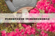 梦幻西游普陀法宝攻略（梦幻西游普陀法宝攻略大全）