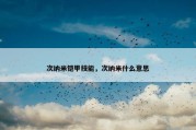 次纳米铠甲技能，次纳米什么意思