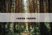 八暗星装备（8暗星羁绊）