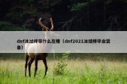 dnf冰结师带什么左槽（dnf2021冰结师毕业装备）