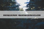 我世界虚无世界巨树（我的世界虚无世界巨石怎么获得）