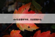 dnf兰总套好不好，兰总套是什么