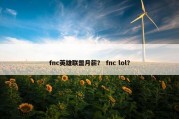 fnc英雄联盟月薪？ fnc lol？