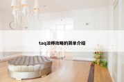 taq法师攻略的简单介绍