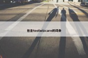 包含toolwizcare的词条