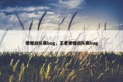 荣耀战队赛bug，王者荣耀战队赛bug