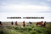 300战场烈阳死神，300英雄烈阳装备怎么搭配