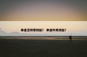拳皇怎样使技能？ 拳皇咋用技能？