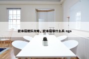 欧米茄舰队攻略，欧米茄带什么兵 nga