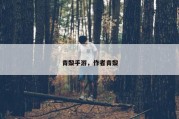 青黎手游，作者青黎