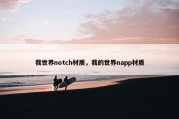 我世界notch材质，我的世界napp材质