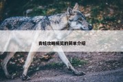 青蛙攻略摇奖的简单介绍