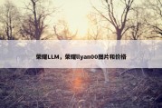 荣耀LLM，荣耀llyan00图片和价格