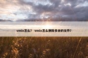 vmix怎么？ vmix怎么删除多余的文件？