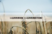 11丛林肉搏攻略（11丛林肉搏新手攻略）
