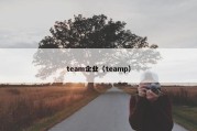 team企业（teamp）