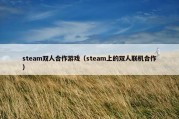 steam双人合作游戏（steam上的双人联机合作）