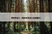 我世界龙人（我的世界龙人皮肤图片）