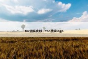 fnc战队皮肤，fnc战队logo