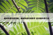 魔域快速升级攻略，魔域快速升级教学 超详细升级介绍