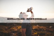 我世界mod怎么安装（我的世界怎样安装mod）