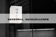 寻仙手游元神什么，寻仙手游元神什么时候开服
