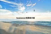 teamweer的简单介绍