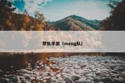 梦队手游（meng队）